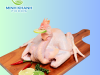 Cung Cấp Thịt Gà Tươi Sống Bình Dương 
