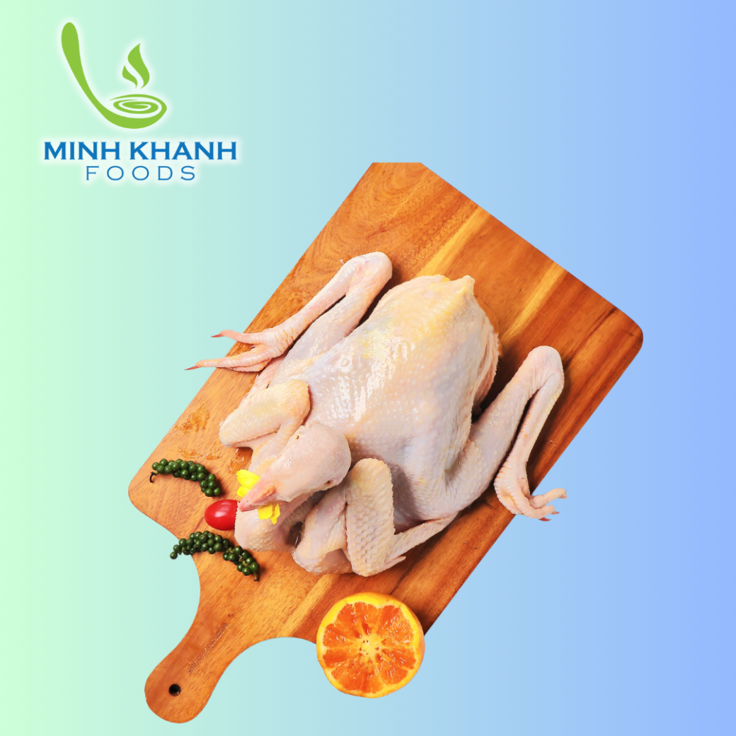 Gà Ta Thả Vườn 