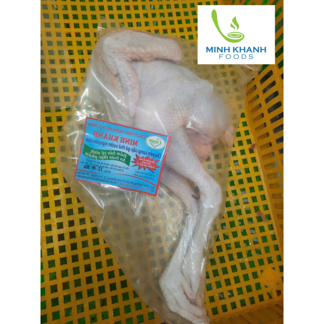 Gà Thả Vườn ( Gà Tam Hoàng )