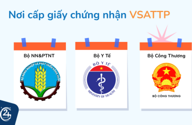 Giấy An Toàn Vệ Sinh Thực Phẩm Có Quan Trọng Cho Doanh Nghiệp Không?