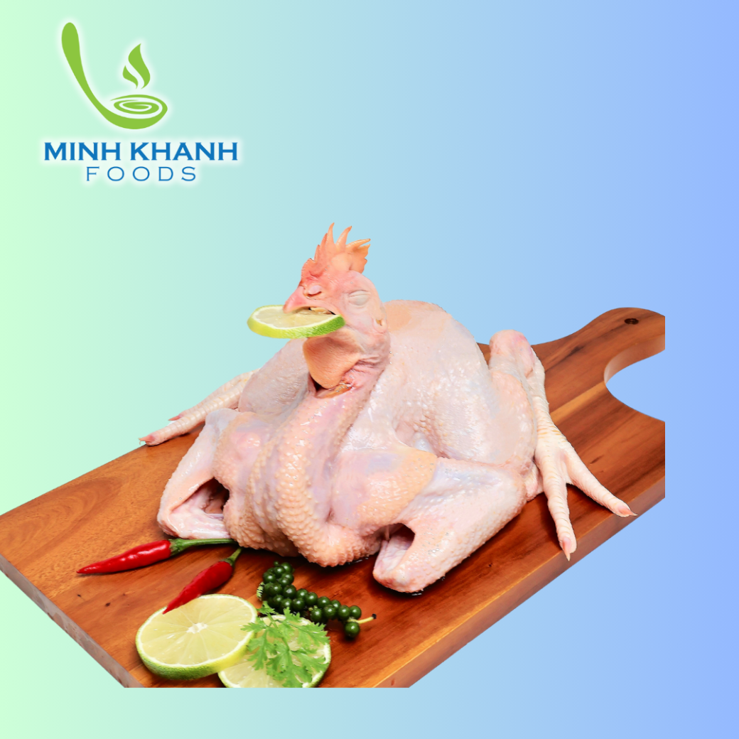 Gà Thả Vườn ( Gà Tam Hoàng )